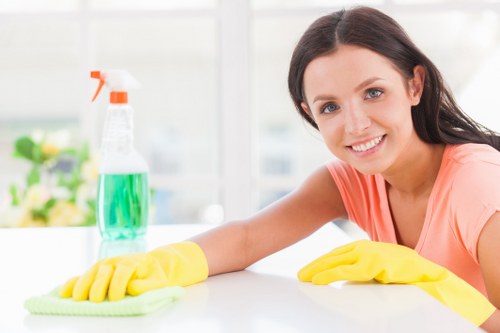 Professional carpet cleaning in a Hampstead home interior