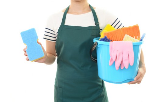 Single and double oven cleaning details