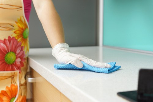 Safe and insured oven cleaning service in Hampstead