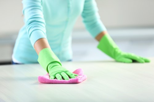 Dust removal and surface detailing after builders cleaning Hampstead