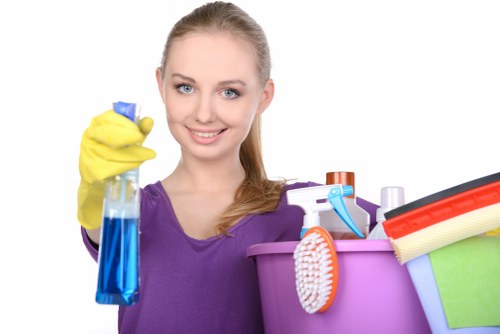 Regular house cleaning service in Hampstead apartment