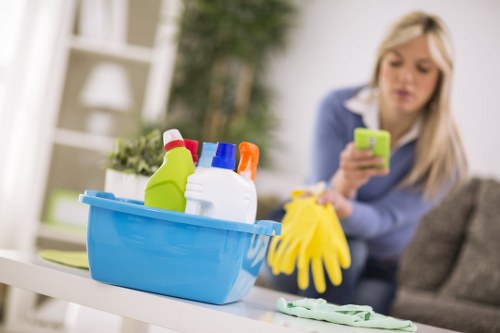 Deep cleaning and domestic cleaning service in Hampstead